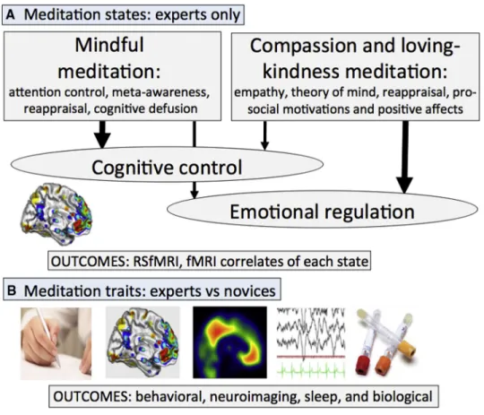 Fig. 1. (A) Meditation states: Hypothetical model of the core mental processes cultivated during mindfulness and compassion and loving-kindness meditations.
