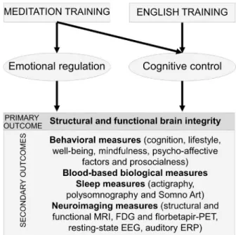 Fig. 1. Hypothetical model of the expected effects and mechanisms of the meditation and foreign language training interventions included in the  Age-Well RCT