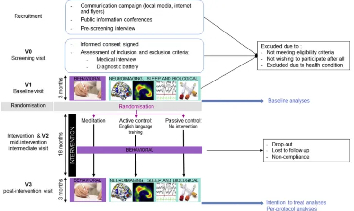 Fig. 2. Flow chart of the Age-Well RCT participants. The different steps are detailed in the text