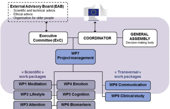 Fig. 3. Management structure of Medit-Ageing.
