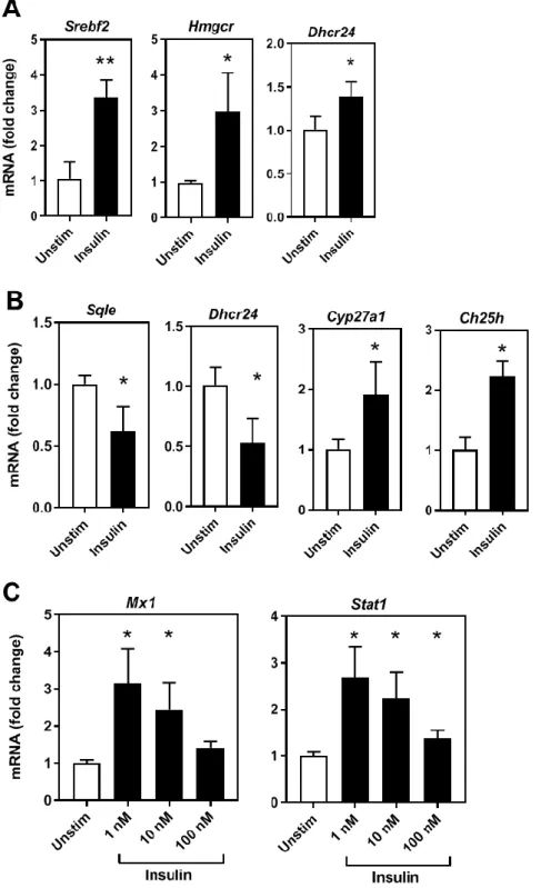 Figure 2: Insulin directly regulates cholesterol biosynthesis and interferon gene expression  in a time and concentration dependent manner
