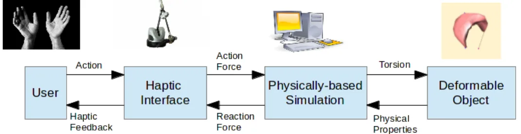 Figure 1.2 shows the entire interaction process in physically-based sim- sim-ulation of torsion