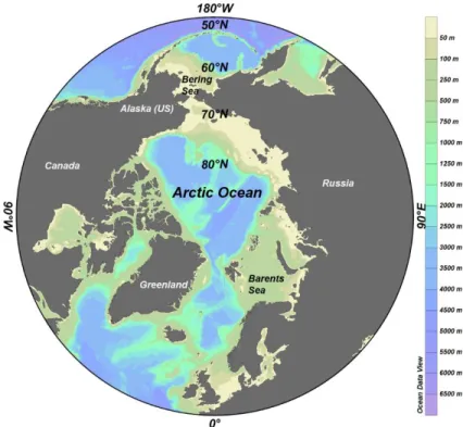 Figure 1.1. Projection polaire de la region de l’Arctique (60-90⁰ N). Image generée par Ocean Data  Viewer (ODV; Schlitzer, 2016) 