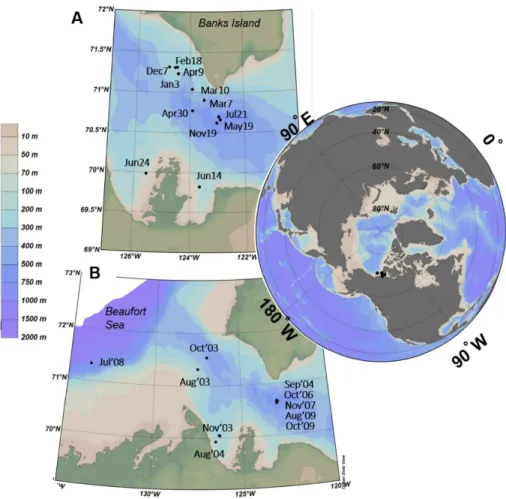 Figure 2.1. Sites and dates of collection of water samples used for A) seasonal (November 2007-July  2008) and B) interannual (2003-2010) studies from the Amundsen Gulf region and adjacent Darnley  and Franklin Bays