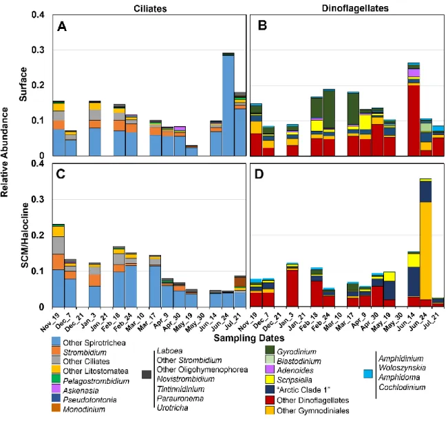 Figure 2.3. Distribution of potentially active (based on rRNA reads) major taxa of the lowest possible  ranks in (A, C) ciliates and (B, D) dinoflagellates (98% level) with the changing seasons (sampling  date) in surface and SCMhalocline layers (see text)