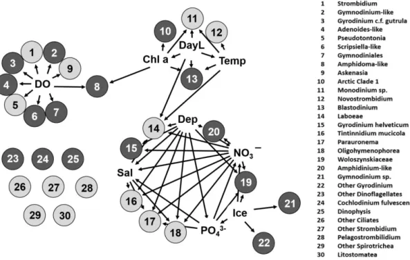 Figure 2.4. A network source-target plot showing the significant correlations of OTUs binned at the  lowest possible ranks (relative abundances) and square root transformed environmental parameters