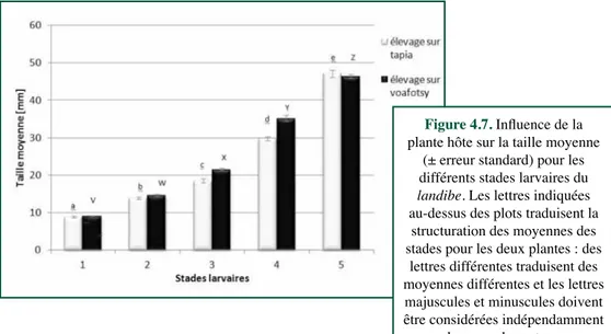 Figure 4.7. Influence de la  plante hôte sur la taille moyenne 