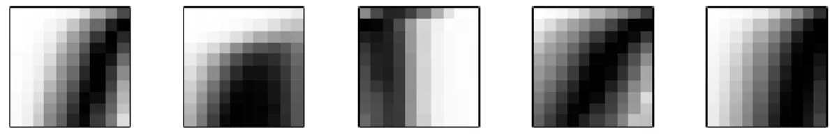 Figure 5.1: A few grids obtained with this technic. Dark pixels mean low errors.