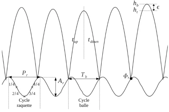 Figure 2.1 – Cycle balle/raquette.