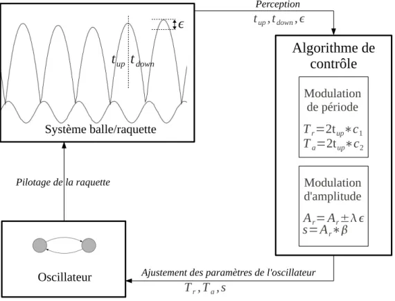 Figure 3.2 – Couplage des syst`emes dynamiques avec l’algorithme de contrˆole