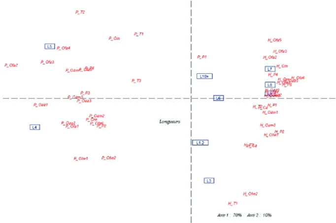 Graphique 8 : Longueur des mots