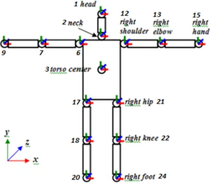 Figure 7: The OpenNI kinect joints of the skeleton and the coordinate system.