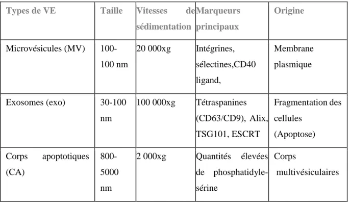Tableau 1:Comparaison entre les trois types de vésicules extracellulaires 