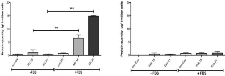 Figure  7    Serum  stimulated  the  release  of  MVs  by  WMyos  but  not  the  release  of  exosomes
