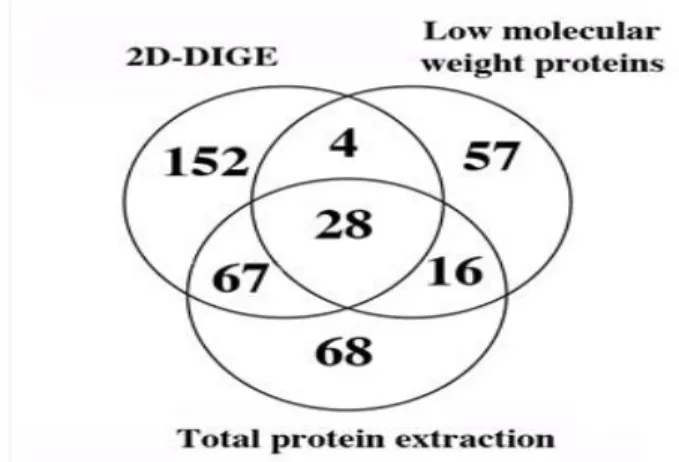 Figure 8 Three-way Venn diagram showing the overlap between MV proteins isolated  using the 2D-DIGE method