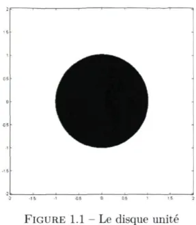 FIGURE  1.1 - Le disque unité 