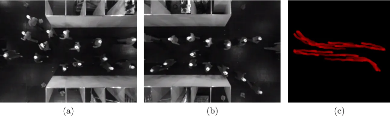 Figure 2.2: (a) left camera view. (b) right camera view. (c) associated paths.