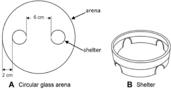 Fig. 1 Dual-choice bioassay. Experimental set-up used in the binary choice experiment