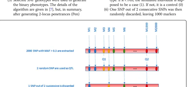 Fig. 2 QTL (Q1, Q2) used as a basis to generate the interaction. In this example, QTL Q1 has been discarded, but QTL Q2 is still present in the final genotyping dataset