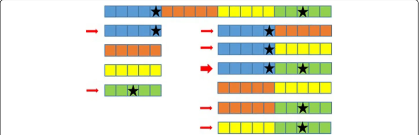 Fig. 3 An example with 20 SNP (represented by squares) partitioned into 4 groups (represented by the colours) of 5 SNP