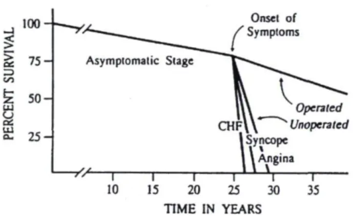 Figure 7 : Courbe de survie sur l'histoire naturelle de la SA. Source  12 