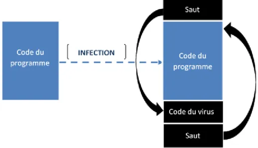 Figure 5 : Un programme infecté. 