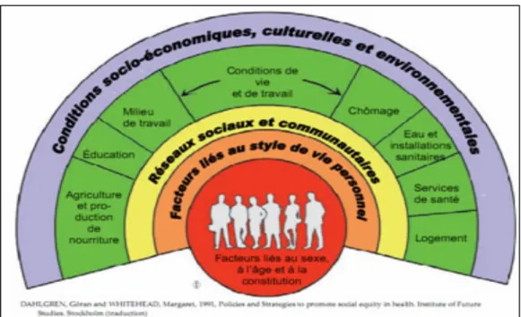 Figure 1 : Modèle de l’influence des déterminants de la santé 