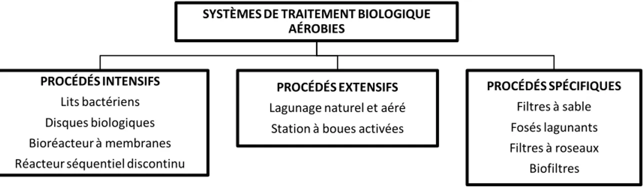 Figure  2.3  :  Différents  procédés  aérobies  pour  le  traitement  des  effluents  (adapté  de  Castillo  de  Campis, 2005)