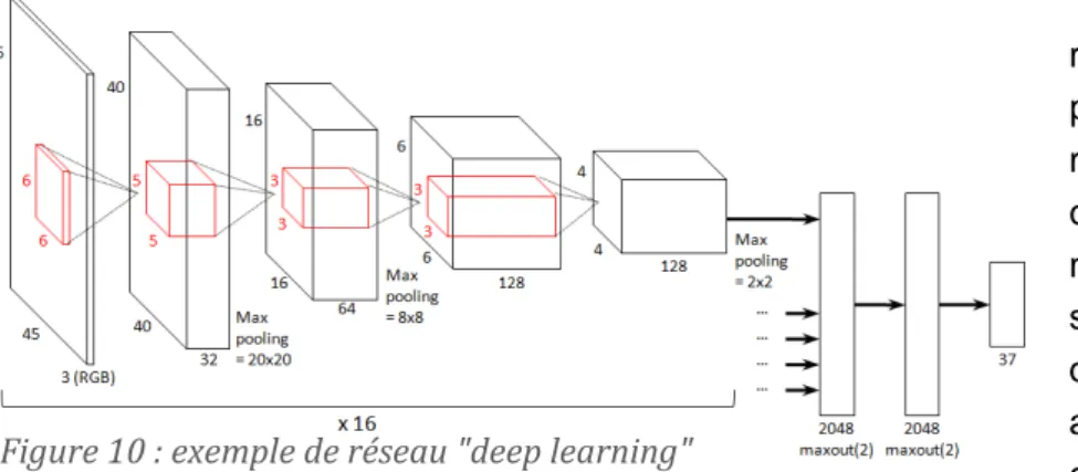 Figure 11 : les principaux types de réseaux de neurone 