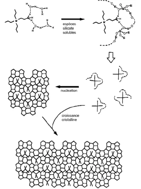 Figure 2- 6. Présentation schématique du mécanisme proposé par Burkett et Davis pour la  synthèse de la zéolithe Silicalite-1 (MFI) [22] 