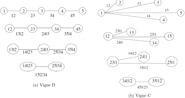 Figure 2.1 – Représentation graphique d’une décomposition faite par une vigne C et une vigne D