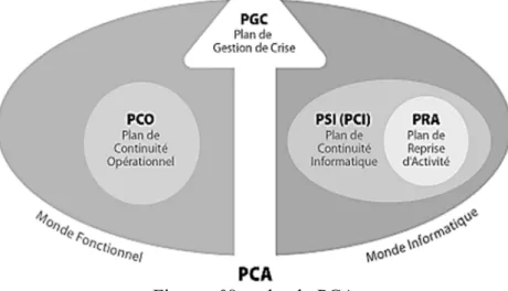 Figure n°8: volet du PCA 