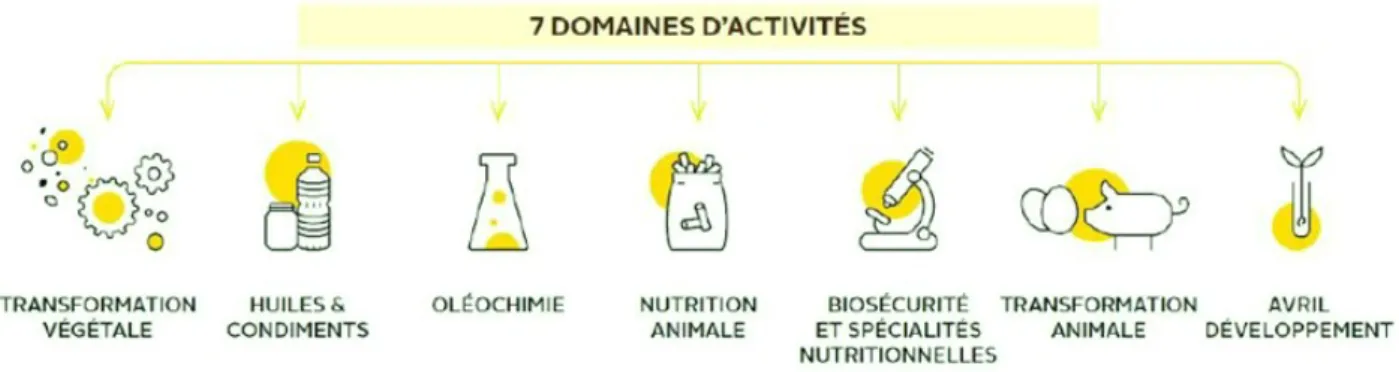 Figure 2 : Les domaines d'activités d'Avril (Groupe AVRIL) 