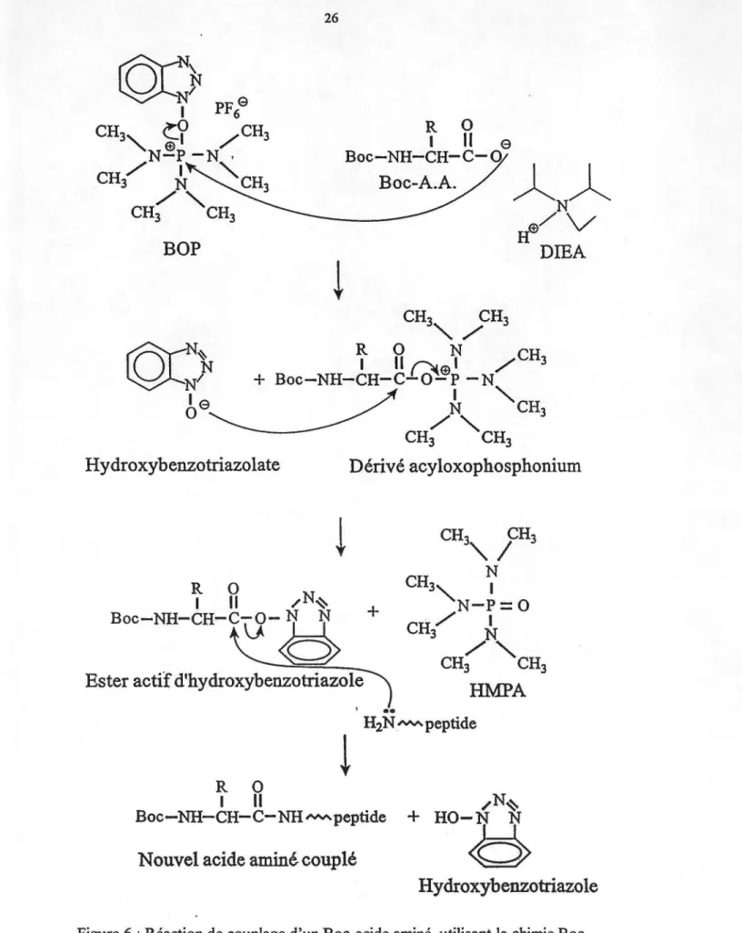 Figure 6 :Réaction de couplage d'un Boe-acide aminé,  utilisant la chimie Boe. 