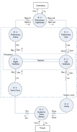 Fig. 5: A computationally light, or “minimal” model that  offers the  potential for real-time diagnosis of cardiovascular  and circulatory system dysfunction at the bedside of the  critically ill patient