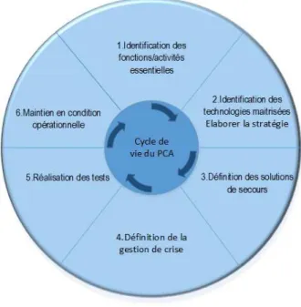 Fig. IV : Cycle de vie du PCA 