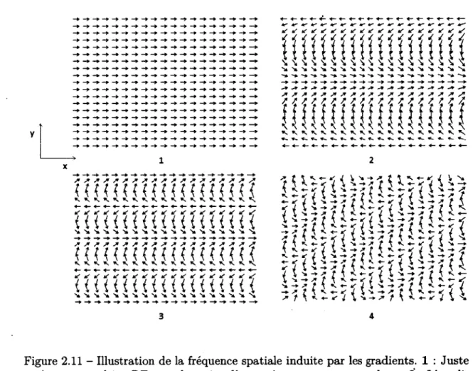 Figure 2.11  -  Illustration  de la fréquence spatiale  induite par les gradients.  1  :  Juste  après une impulsion RF, tous les spins d ’une  même coupe sont  en phase
