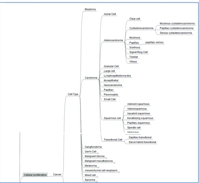 Figure 23 : Carte mentale - Cancer 
