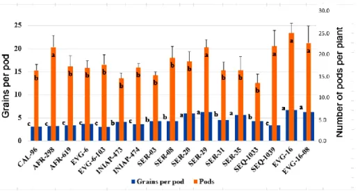 Figure 3.  Grains per pod and number of pods per plant in 17 common bean genotypes. 