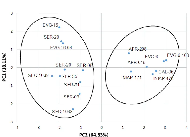 Figure  5.  Two  set  of  genotypes  grouped  by  six  productive  and  phenological  variables  for  the  17  common  bean  genotypes