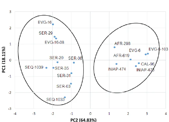 Figure  5.  Two  set  of  genotypes  grouped  by  six  productive  and  phenological  variables  for  the  17  common  bean  genotypes