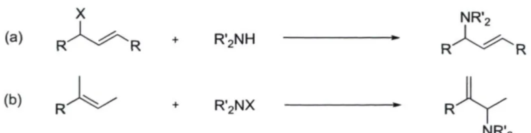 Figure 8 : Amines allyliques 
