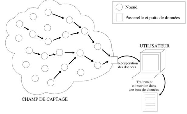 Figure 6 : Exemple d'utilisation d'un réseau de capteurs sans fil