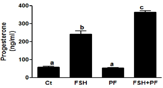 Figure 2-7 : Effect of PDE8A inhibition on progesterone synthesis in cumulus-oocyte complexes  during maturation 