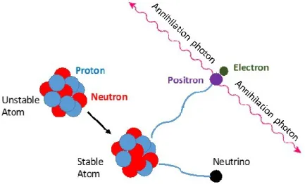 Figure 2-1. The positron-emission decay process of an unstable nucleus. 