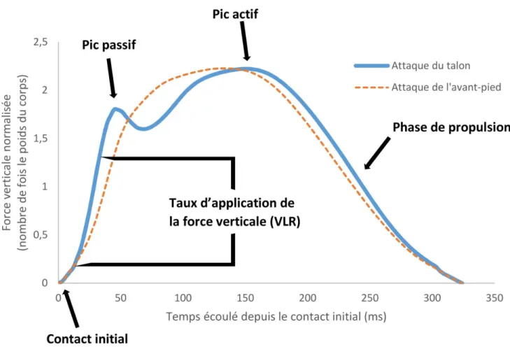Figure 3 : Force de réaction verticale au sol pendant la phase d’appui de la course 