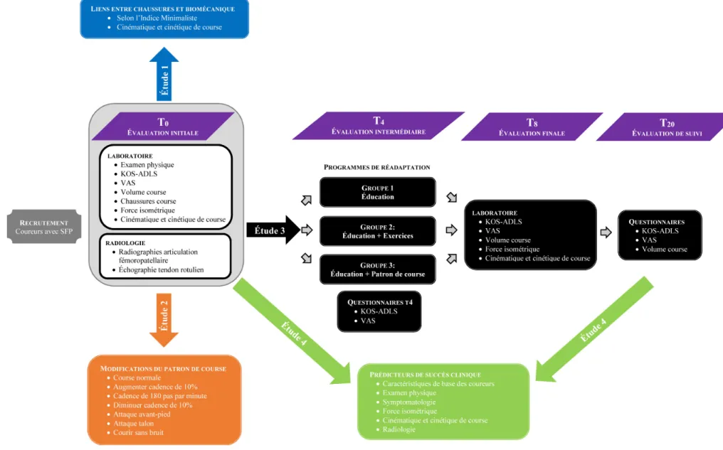 Figure 2.1 : Schéma global du projet de doctorat, démontrant les étapes principales de chacune des 4 études