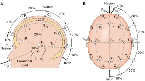 Figure 10 : Système international 10-20 vu depuis la gauche du crâne et depuis le dessus du crâne