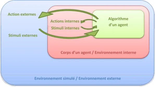 Figure 3.1 : Séparation entre le corps et l’algorithme d'un agent 