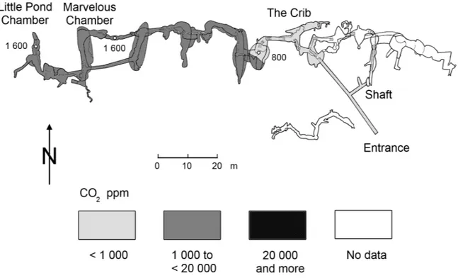 Figure 1. CO 2  content of the air in the Comblain-au-Pont Cave in winter (February 8, 2012).